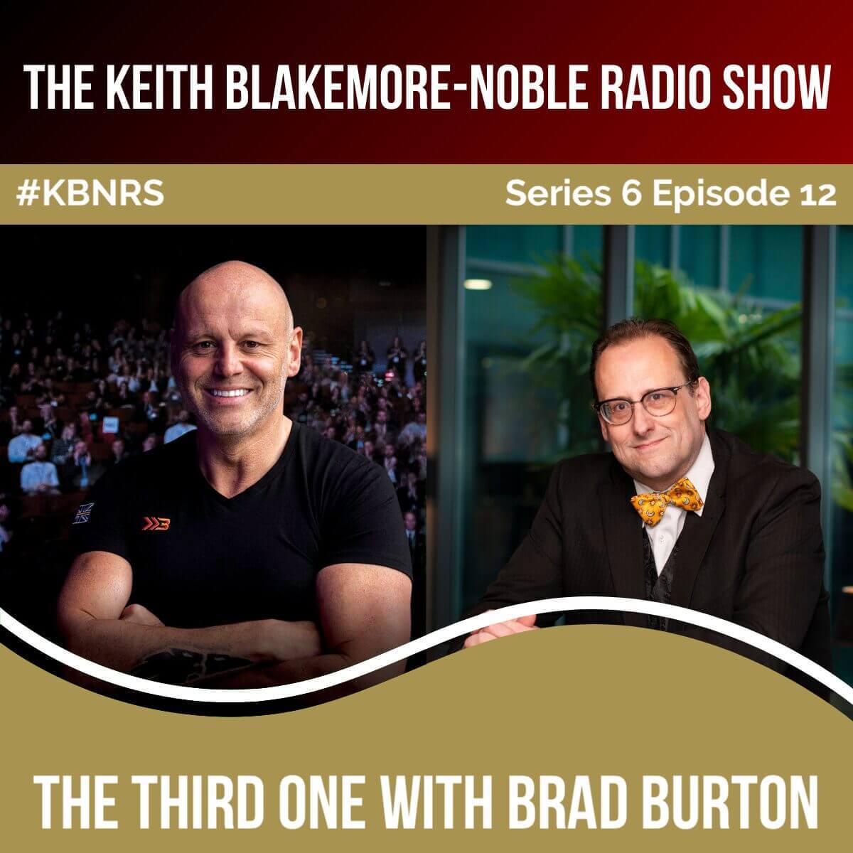The Third One With Brad Burton episode artwork